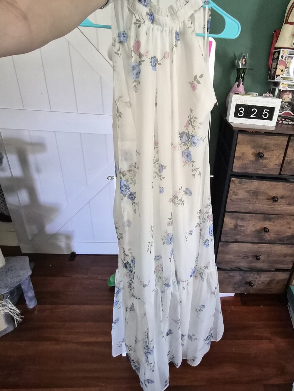 Francesca's Collections Cream Maxi Dress with Blue and Pink Floral Print